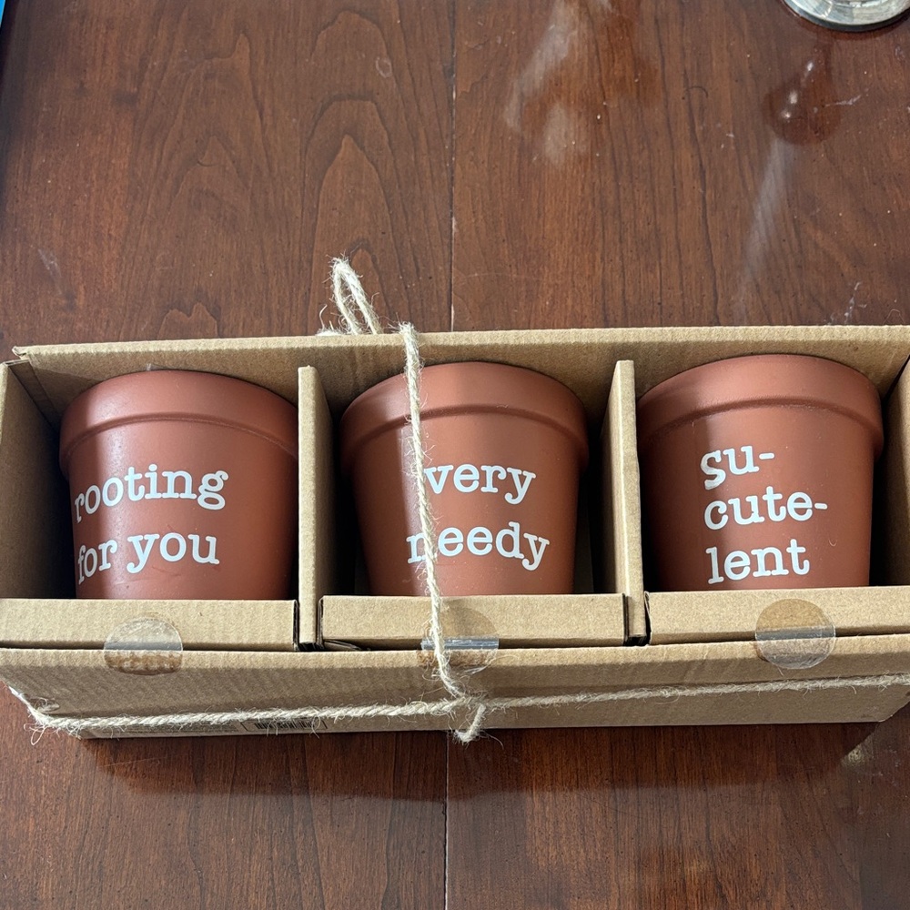 Set of Three Ceramic Planters